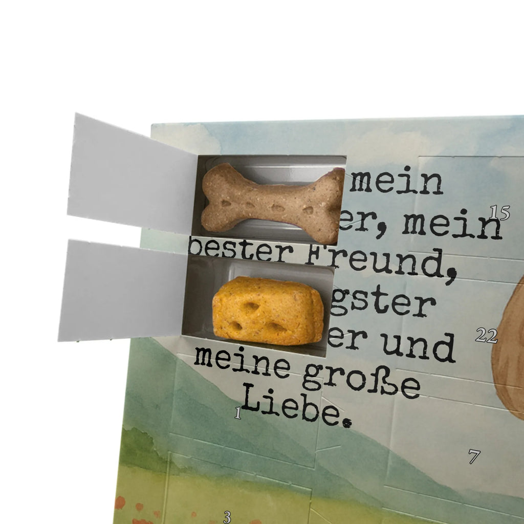 Hunde Adventskalender Hund Dame Design Adventskalender für Hunde, Hunde Adventskalender, Weihnachtskalender, Kalender, Sprüche, Hund, Hunderasse, Hundebesitzer, Hundemotiv, Haustier, Tierliebhaber, Hunde, Frauchen, Hundeliebe, Liebe, Hundeglück