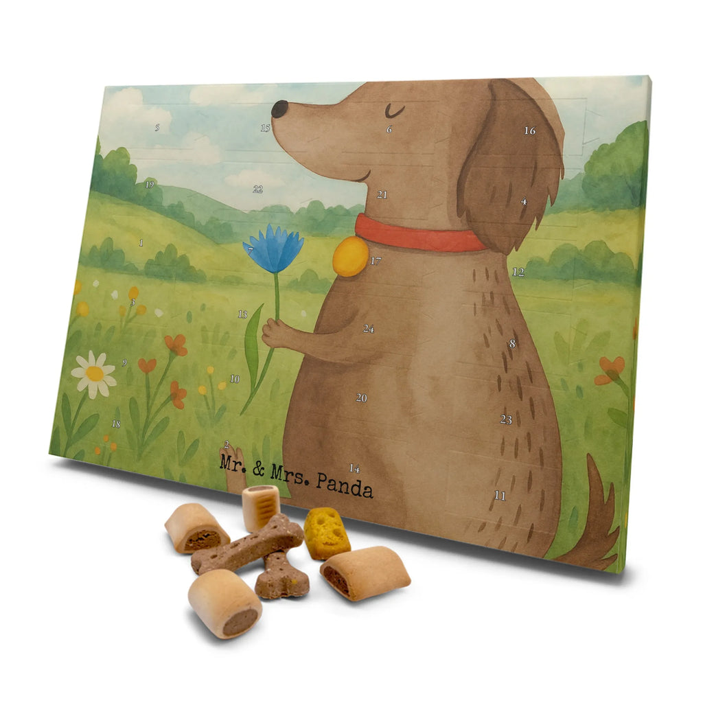 Hunde Adventskalender Hund Blume Design Adventskalender für Hunde, Hunde Adventskalender, Weihnachtskalender, Kalender, Sprüche, Hund, Hunderasse, Hundebesitzer, Hundemotiv, Haustier, Tierliebhaber, Frauchen, Hundeliebe, Hunde