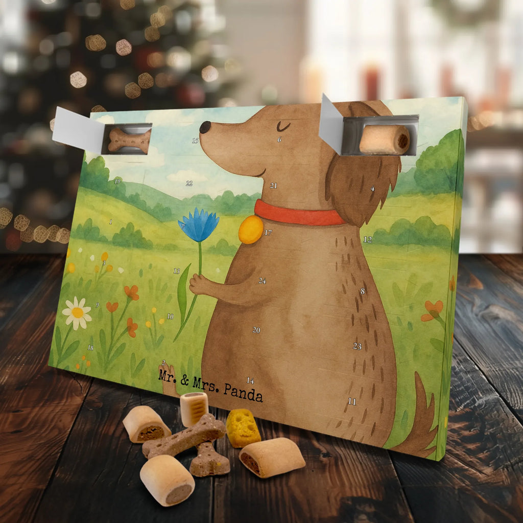 Hunde Adventskalender Hund Blume Design Adventskalender für Hunde, Hunde Adventskalender, Weihnachtskalender, Kalender, Sprüche, Hund, Hunderasse, Hundebesitzer, Hundemotiv, Haustier, Tierliebhaber, Frauchen, Hundeliebe, Hunde