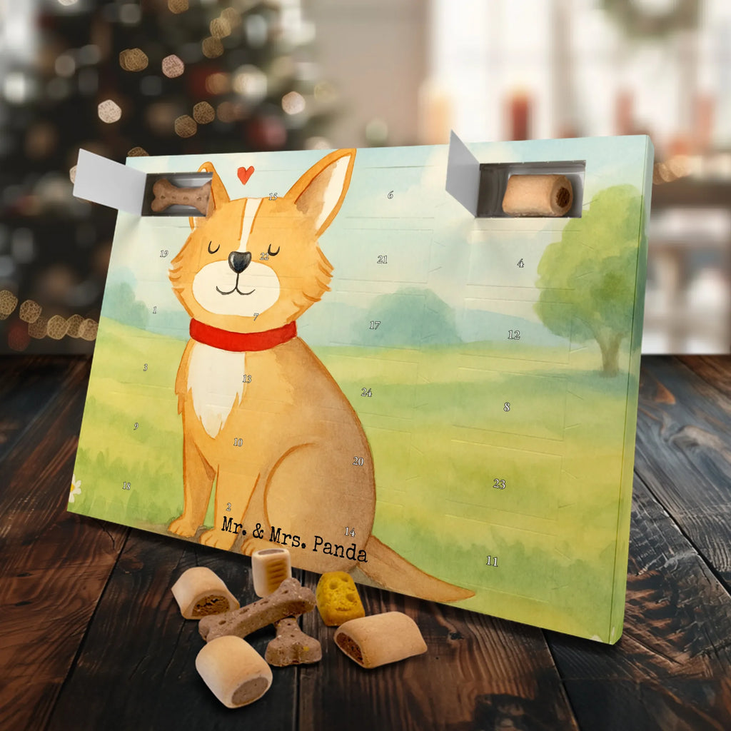 Hunde Adventskalender Hund Glück Design Adventskalender für Hunde, Weihnachtskalender, Hunde Adventskalender, Kalender, Sprüche, Hund, Hunderasse, Hundebesitzer, Hundemotiv, Haustier, Tierliebhaber, Corgie, Spruch, Liebe, Hundemama, Hundeliebe