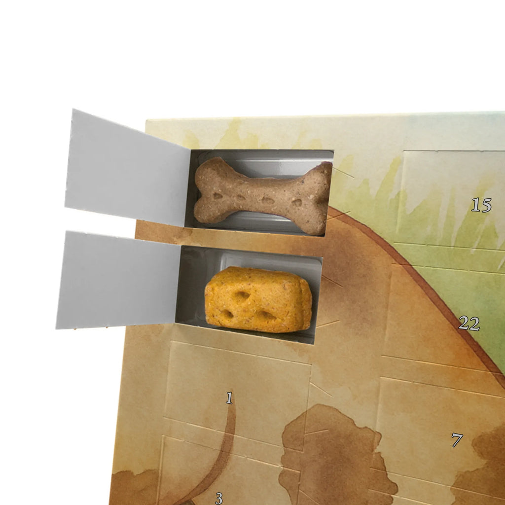 Personalisierter Hunde Adventskalender Hund Marienkäfer Design Hunde Adventskalender, Sprüche, Hund, Hunderasse, Hundebesitzer, Hundemotiv, Haustier, Tierliebhaber, Hundespruch, Hunde, Mischling, Marienkäfer, Mischlinghund