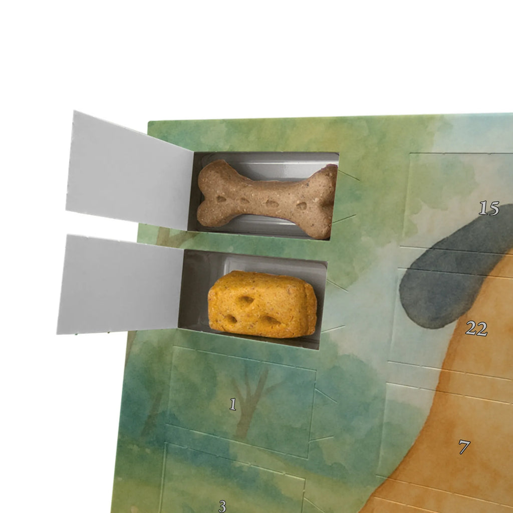 Hunde Adventskalender Mops Design Kalender, Adventskalender für Hunde, Hunde Adventskalender, Weihnachtskalender, Sprüche, Hund, Hunderasse, Hundebesitzer, Hundemotiv, Haustier, Tierliebhaber, Mops, Hundeliebe, Liebe