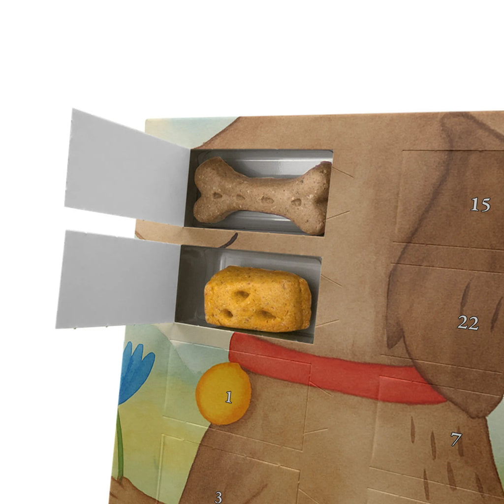 Hunde Adventskalender Hund Blume Design Adventskalender für Hunde, Hunde Adventskalender, Weihnachtskalender, Kalender, Sprüche, Hund, Hunderasse, Hundebesitzer, Hundemotiv, Haustier, Tierliebhaber, Frauchen, Hundeliebe, Hunde