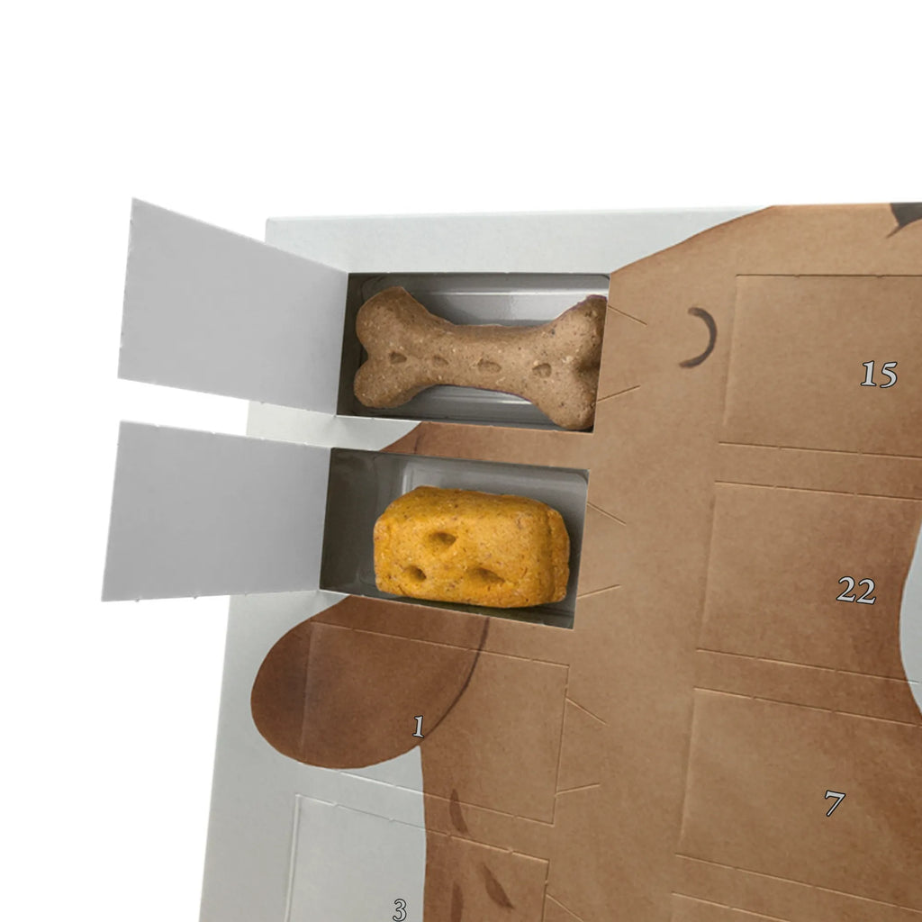 Personalisierter Hunde Adventskalender Hund Keks Design Hunde Adventskalender, Sprüche, Hund, Hunderasse, Hundebesitzer, Hundemotiv, Haustier, Tierliebhaber, Hundeleckerli, Hundesnacks, Hundekekse, Leckerli