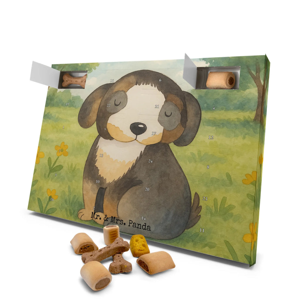 Hunde Adventskalender Hund Entspannen Design Kalender, Adventskalender für Hunde, Weihnachtskalender, Hunde Adventskalender, Sprüche, Hund, Hunderasse, Hundebesitzer, Hundemotiv, Haustier, Tierliebhaber, Hundeglück, Schwarzer Hund, Hundeliebe, Liebe