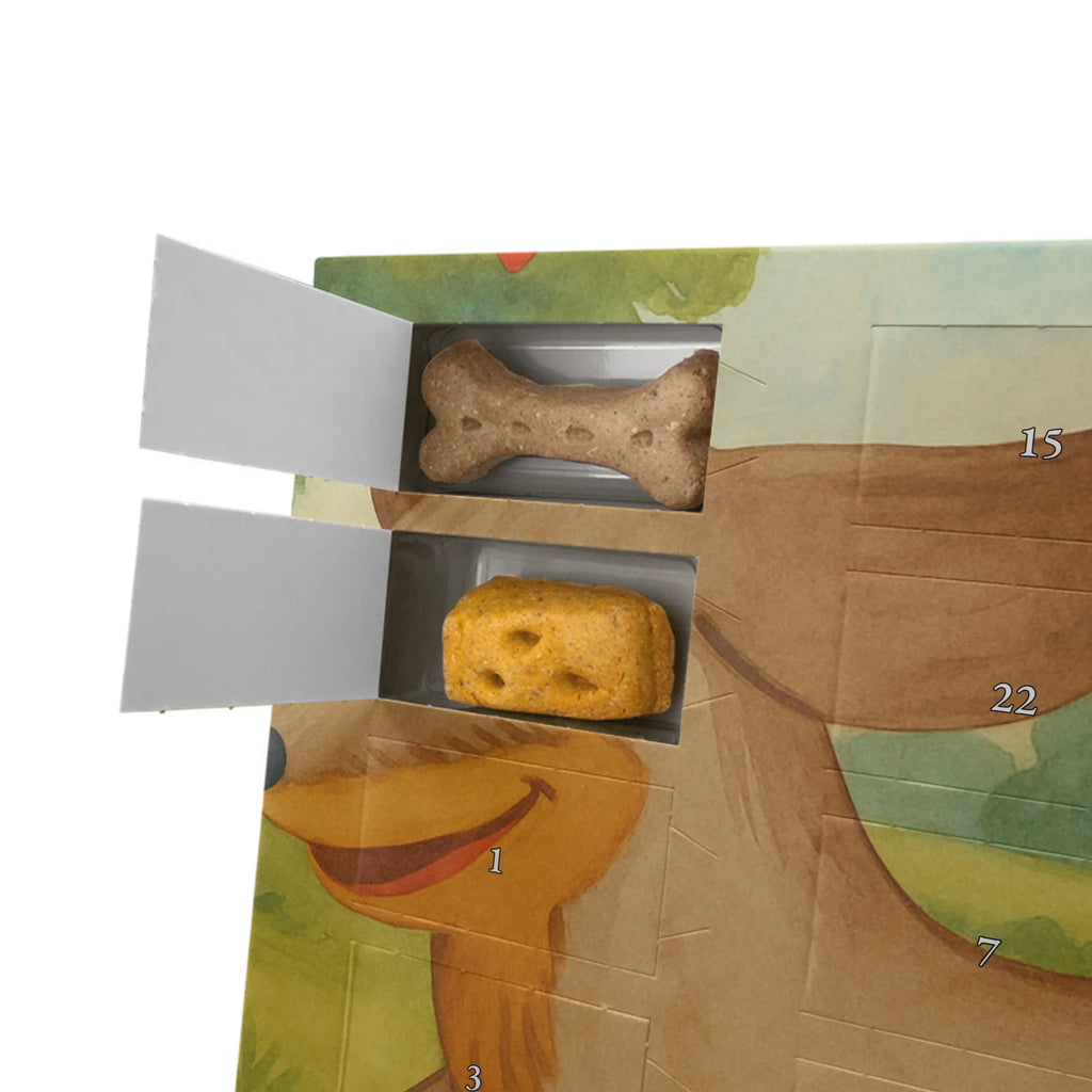 Hunde Adventskalender Hund Dackel Design Adventskalender für Hunde, Hunde Adventskalender, Weihnachtskalender, Kalender, Sprüche, Hund, Hunderasse, Hundebesitzer, Hundemotiv, Haustier, Tierliebhaber, Dachshund, Hunde, Happy Dog, Dackel