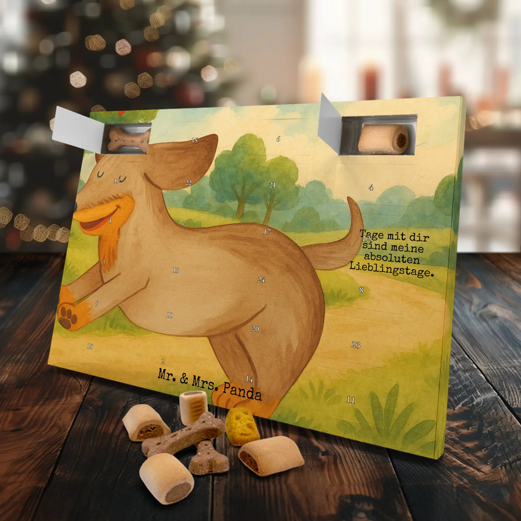 Hunde Adventskalender Hund Dackel Design Adventskalender für Hunde, Hunde Adventskalender, Weihnachtskalender, Kalender, Sprüche, Hund, Hunderasse, Hundebesitzer, Hundemotiv, Haustier, Tierliebhaber, Dachshund, Hunde, Happy Dog, Dackel