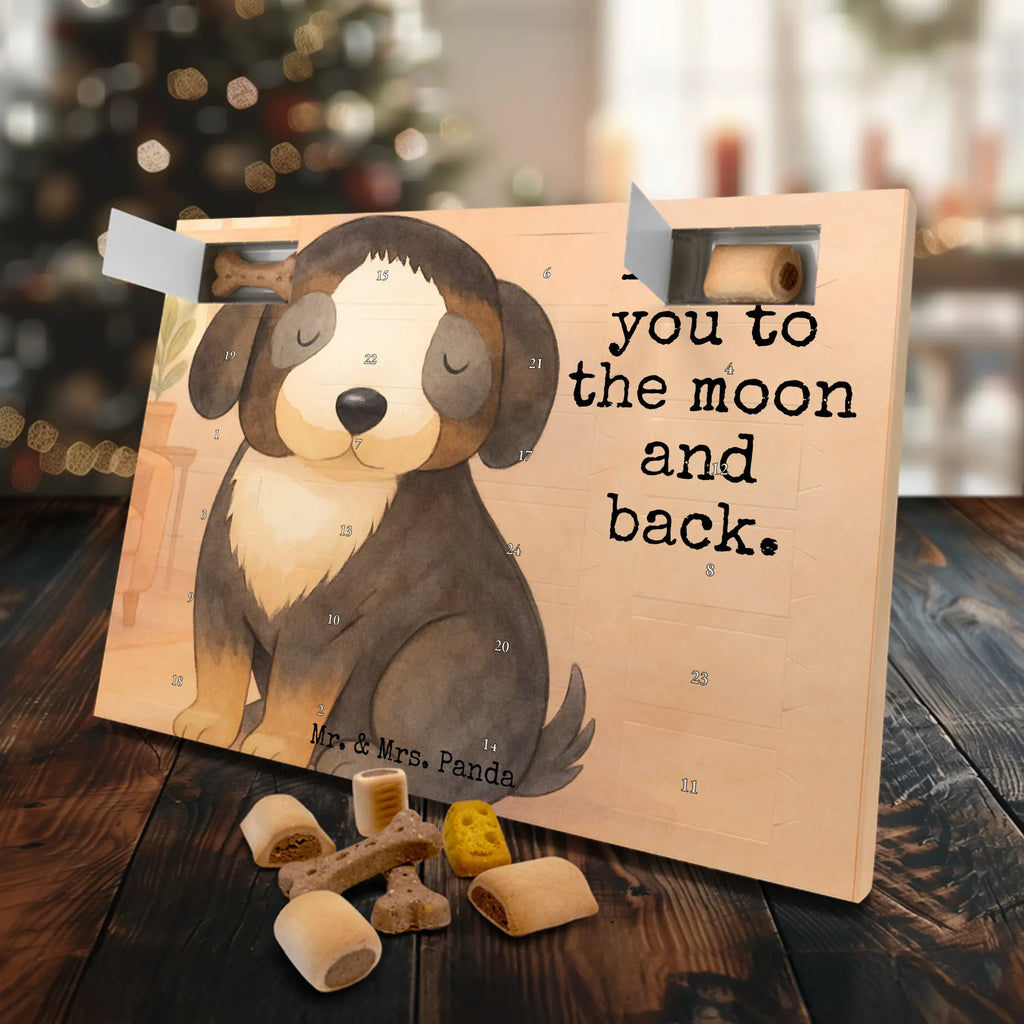 Hunde Adventskalender Hund Entspannen Design Kalender, Adventskalender für Hunde, Weihnachtskalender, Hunde Adventskalender, Sprüche, Hund, Hunderasse, Hundebesitzer, Hundemotiv, Haustier, Tierliebhaber, Hundeglück, Schwarzer Hund, Hundeliebe, Liebe