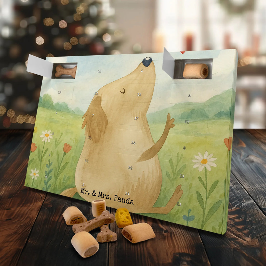 Hunde Adventskalender Hund Liebe Design Hunde Adventskalender, Adventskalender für Hunde, Kalender, Weihnachtskalender, Sprüche, Hund, Hunderasse, Hundebesitzer, Hundemotiv, Haustier, Tierliebhaber, Frauchen, Liebe, Hundeliebe, Hundeglück, Hunde