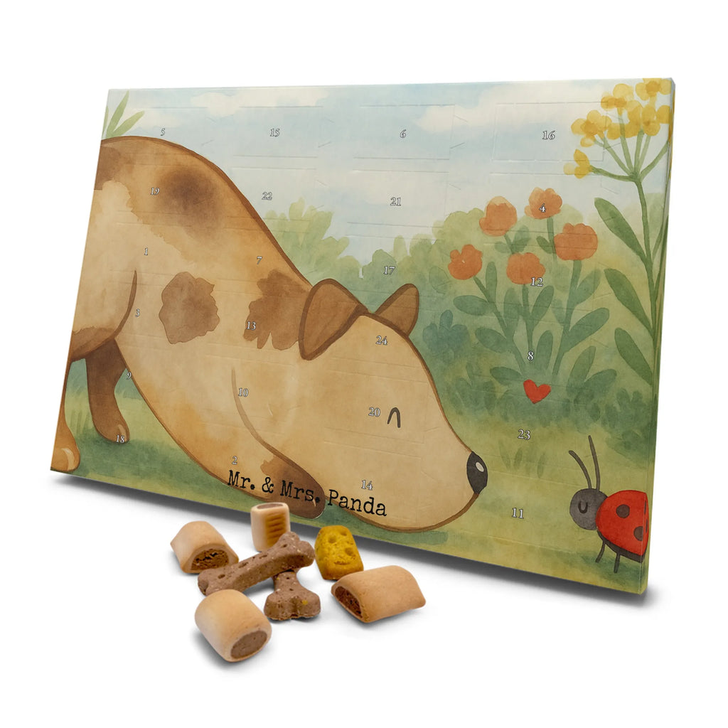 Hunde Adventskalender Hund Marienkäfer Design Adventskalender für Hunde, Kalender, Hunde Adventskalender, Weihnachtskalender, Sprüche, Hund, Hunderasse, Hundebesitzer, Hundemotiv, Haustier, Tierliebhaber, Hunde, Mischlinghund, Mischling, Marienkäfer, Hundespruch
