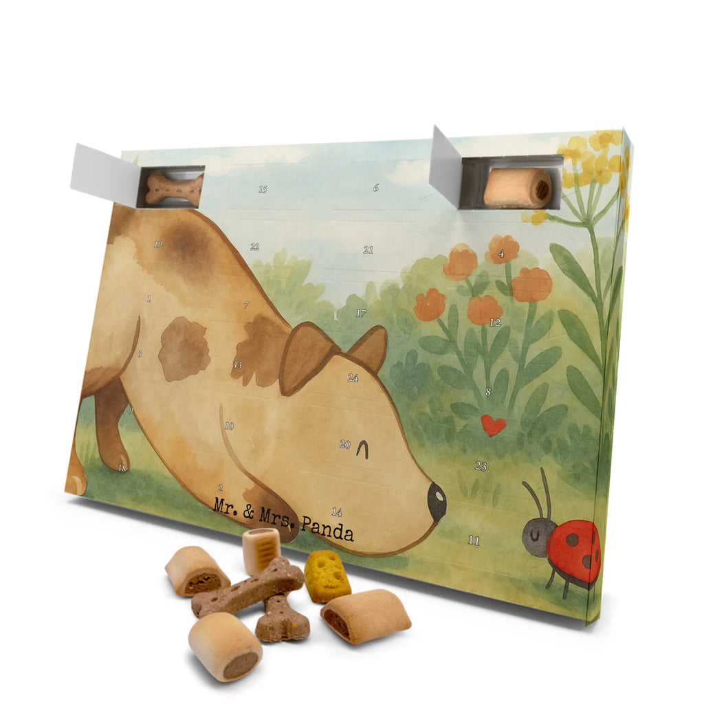 Hunde Adventskalender Hund Marienkäfer Design Adventskalender für Hunde, Kalender, Hunde Adventskalender, Weihnachtskalender, Sprüche, Hund, Hunderasse, Hundebesitzer, Hundemotiv, Haustier, Tierliebhaber, Hunde, Mischlinghund, Mischling, Marienkäfer, Hundespruch