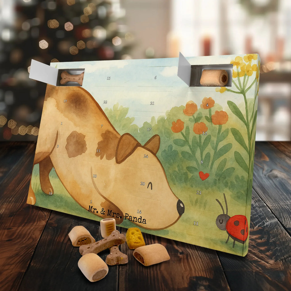Hunde Adventskalender Hund Marienkäfer Design Adventskalender für Hunde, Kalender, Hunde Adventskalender, Weihnachtskalender, Sprüche, Hund, Hunderasse, Hundebesitzer, Hundemotiv, Haustier, Tierliebhaber, Hunde, Mischlinghund, Mischling, Marienkäfer, Hundespruch