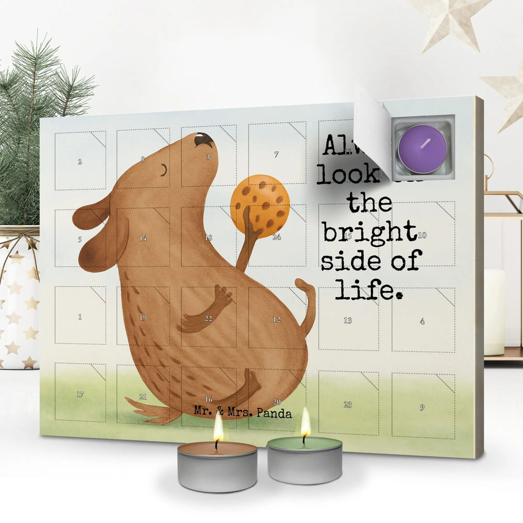 Duftkerzen Adventskalender Hund Keks Design duftkerzenkalender, duft adventskalender, adventskalender duftkerzen, kerzenkalender, weihnachts adventskalender, Weihnachtskalender, adventskalender kerzen, aroma adventskalender, adventskalender mit kerzen, Adventskalender, advent kalender, adventskalender mit duftkerzen, Duftkerzen Adventskalender, duft kalender, Kerzen Adventskalender, adventskerzen kalender, raumduft adventskalender, Sprüche, Hund, Hunderasse, Hundebesitzer, Hundemotiv, Haustier, Tierliebhaber, Leckerli, Hundesnacks, Hundekekse, Hundeleckerli