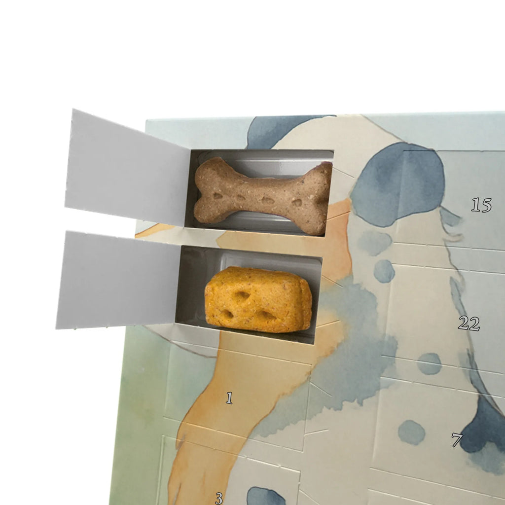 Hunde Adventskalender Hund Australien Shepherd Design Hunde Adventskalender, Weihnachtskalender, Adventskalender für Hunde, Kalender, Sprüche, Hund, Hunderasse, Hundebesitzer, Hundemotiv, Haustier, Tierliebhaber, Familienhund, Hundeliebe, Australien Shepherd, Spruch, Shepherd