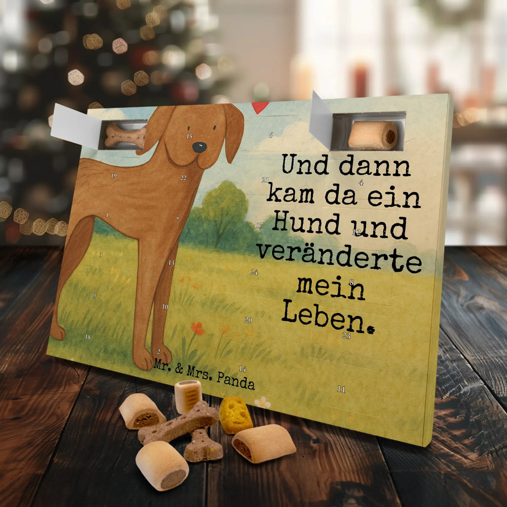Hunde Adventskalender Hund Dogge Design Adventskalender für Hunde, Hunde Adventskalender, Weihnachtskalender, Kalender, Sprüche, Hund, Hunderasse, Hundebesitzer, Hundemotiv, Haustier, Tierliebhaber, Deutsche Dogge, Great Dane, Hunde, Dogge