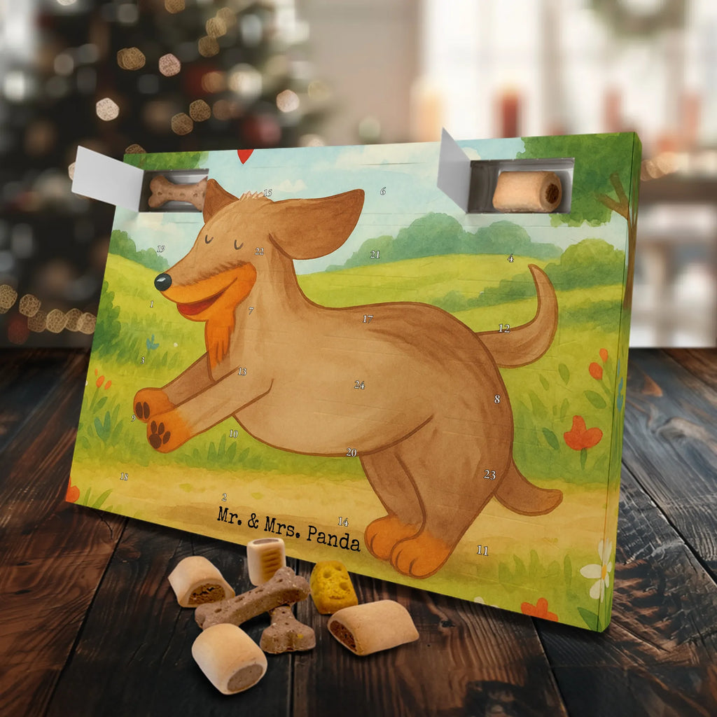 Hunde Adventskalender Hund Dackel Design Adventskalender für Hunde, Hunde Adventskalender, Weihnachtskalender, Kalender, Sprüche, Hund, Hunderasse, Hundebesitzer, Hundemotiv, Haustier, Tierliebhaber, Dachshund, Hunde, Happy Dog, Dackel