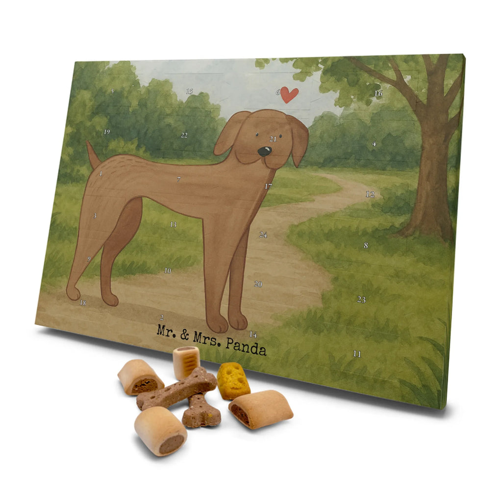 Hunde Adventskalender Hund Dogge Design Adventskalender für Hunde, Hunde Adventskalender, Weihnachtskalender, Kalender, Sprüche, Hund, Hunderasse, Hundebesitzer, Hundemotiv, Haustier, Tierliebhaber, Deutsche Dogge, Great Dane, Hunde, Dogge