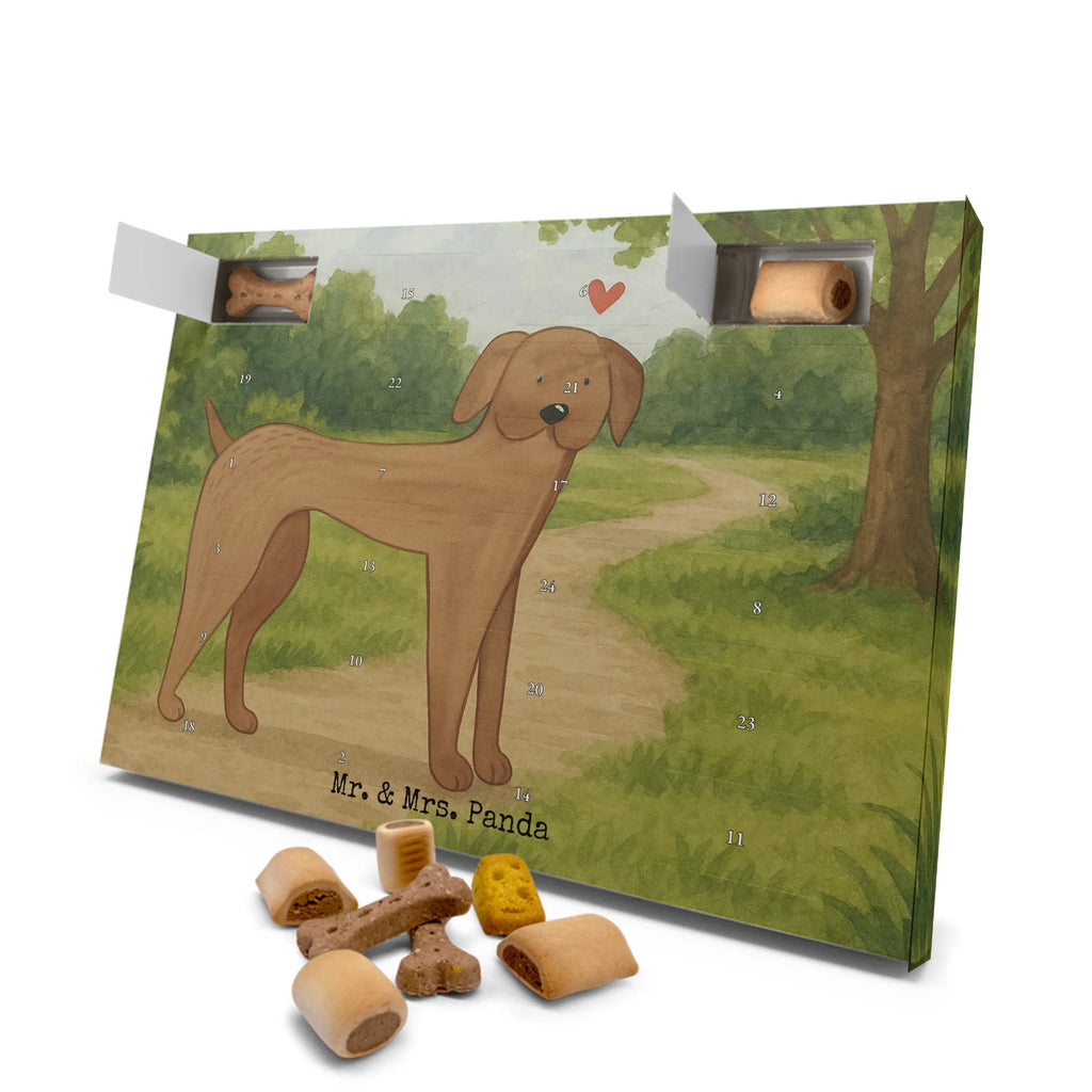 Hunde Adventskalender Hund Dogge Design Adventskalender für Hunde, Hunde Adventskalender, Weihnachtskalender, Kalender, Sprüche, Hund, Hunderasse, Hundebesitzer, Hundemotiv, Haustier, Tierliebhaber, Deutsche Dogge, Great Dane, Hunde, Dogge
