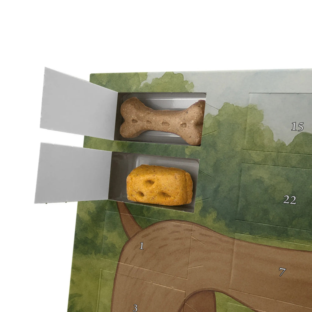 Hunde Adventskalender Hund Dogge Design Adventskalender für Hunde, Hunde Adventskalender, Weihnachtskalender, Kalender, Sprüche, Hund, Hunderasse, Hundebesitzer, Hundemotiv, Haustier, Tierliebhaber, Deutsche Dogge, Great Dane, Hunde, Dogge