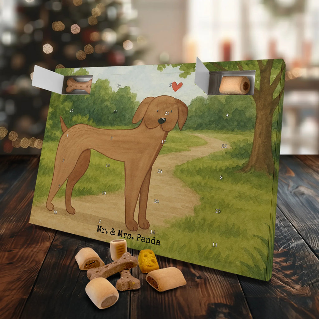 Hunde Adventskalender Hund Dogge Design Adventskalender für Hunde, Hunde Adventskalender, Weihnachtskalender, Kalender, Sprüche, Hund, Hunderasse, Hundebesitzer, Hundemotiv, Haustier, Tierliebhaber, Deutsche Dogge, Great Dane, Hunde, Dogge