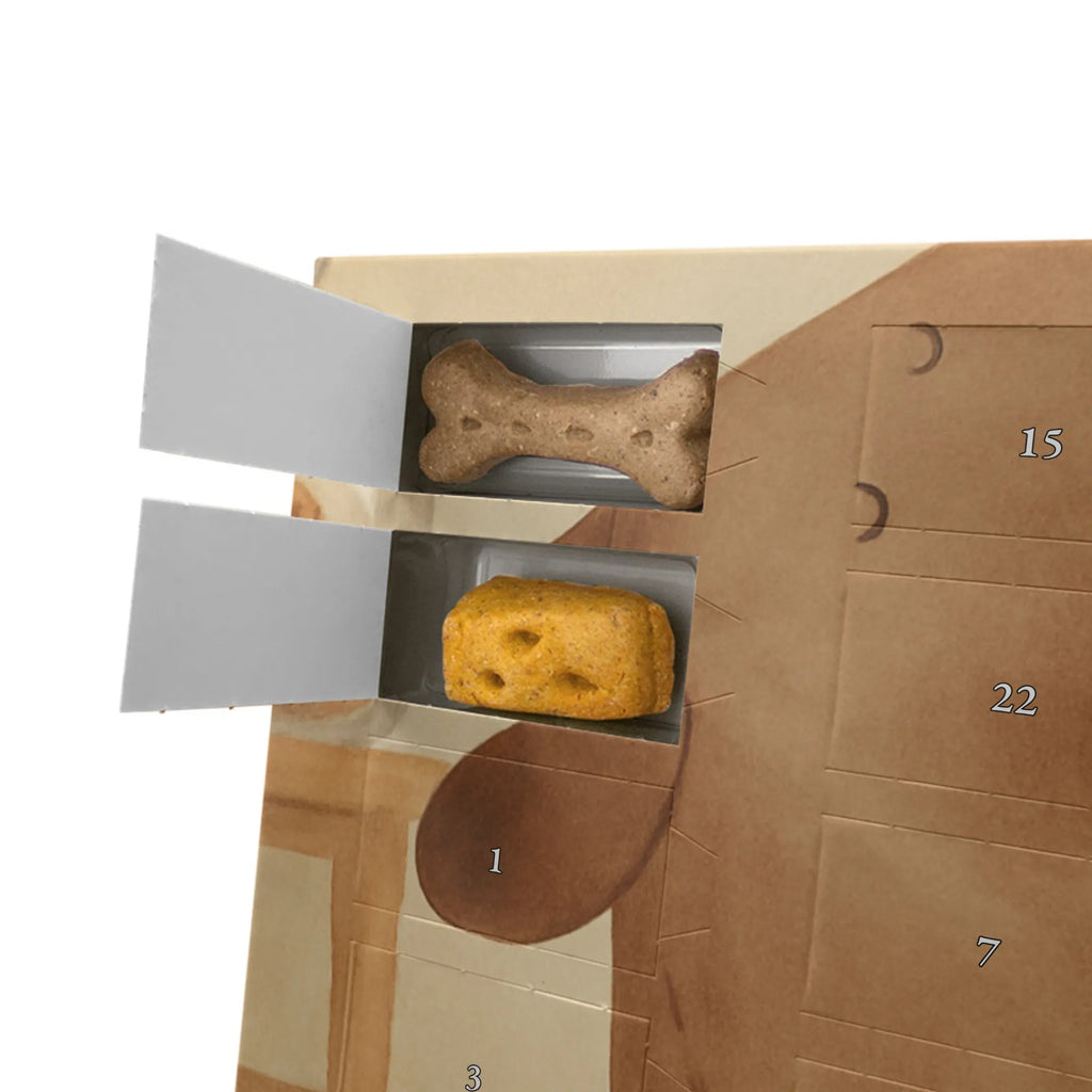 Hunde Adventskalender Hund Keks Design Kalender, Adventskalender für Hunde, Weihnachtskalender, Hunde Adventskalender, Sprüche, Hund, Hunderasse, Hundebesitzer, Hundemotiv, Haustier, Tierliebhaber, Hundeleckerli, Leckerli, Hundesnacks, Hundekekse