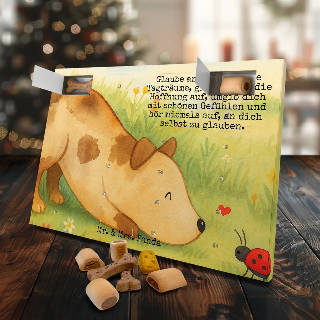Hunde Adventskalender Hund Marienkäfer Design Adventskalender für Hunde, Kalender, Hunde Adventskalender, Weihnachtskalender, Sprüche, Hund, Hunderasse, Hundebesitzer, Hundemotiv, Haustier, Tierliebhaber, Hunde, Mischlinghund, Mischling, Marienkäfer, Hundespruch