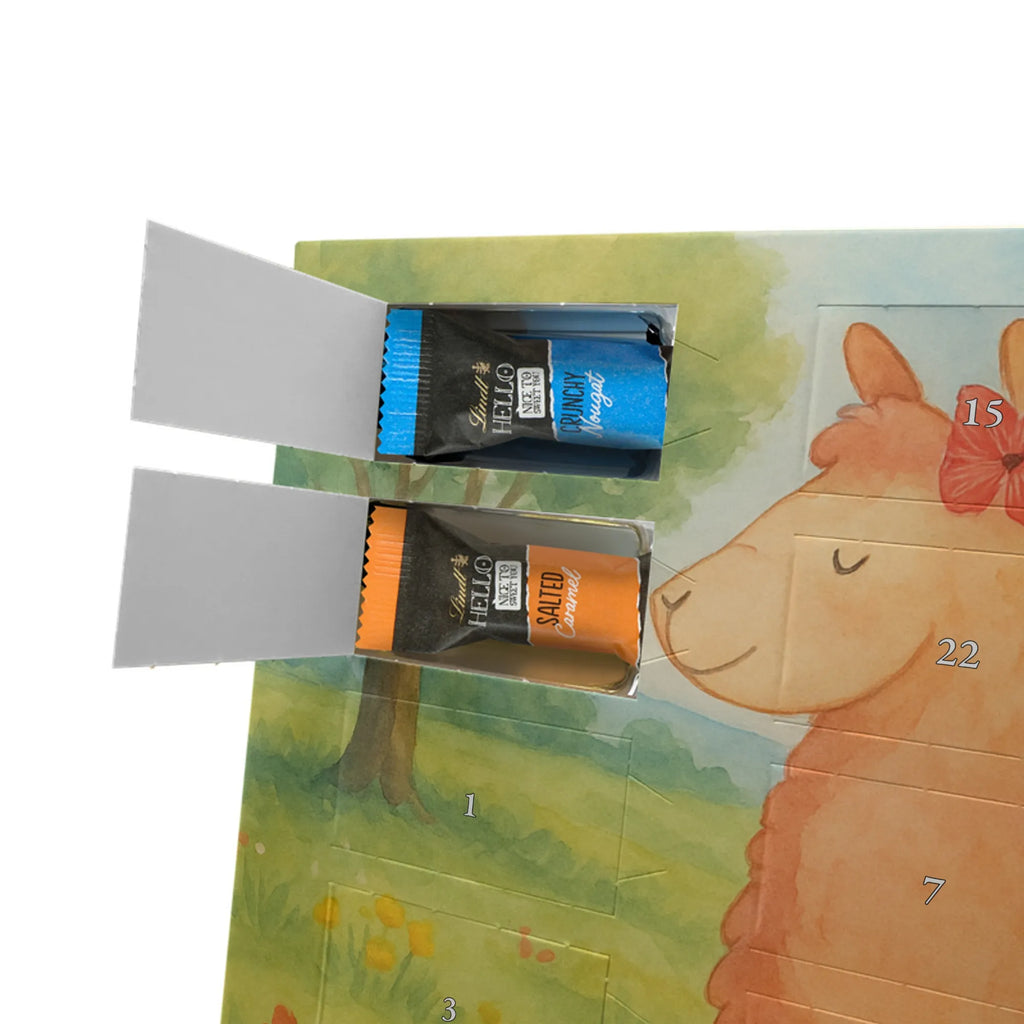 Chocolate advent calendar alpaca Proud Design alpaca, animal, llama, pako, camel, Peru, favourite animal