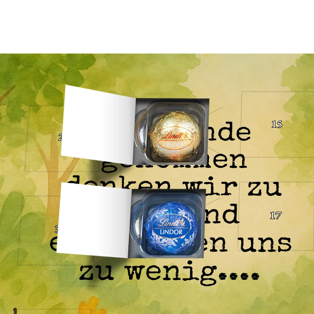 Chocolate advent calendar bear Physician Design teddy bear, cuddly toy, Doctor