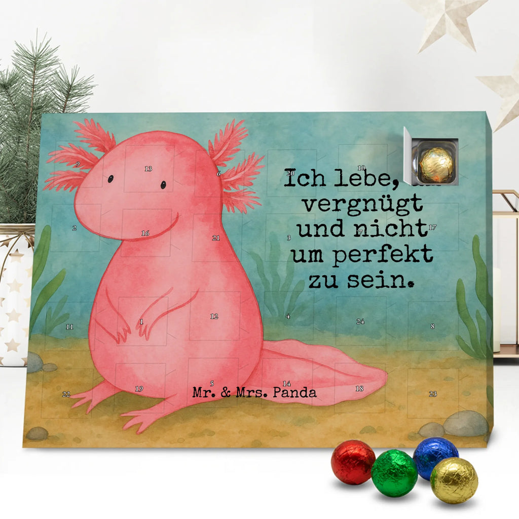 Chocolate advent calendar axolotl zero Design Axelotl, marine animals, Mexican walking fish, salamander, wisdom, worldly wisdom, contented, cheerful, lifestyle, girlfriend