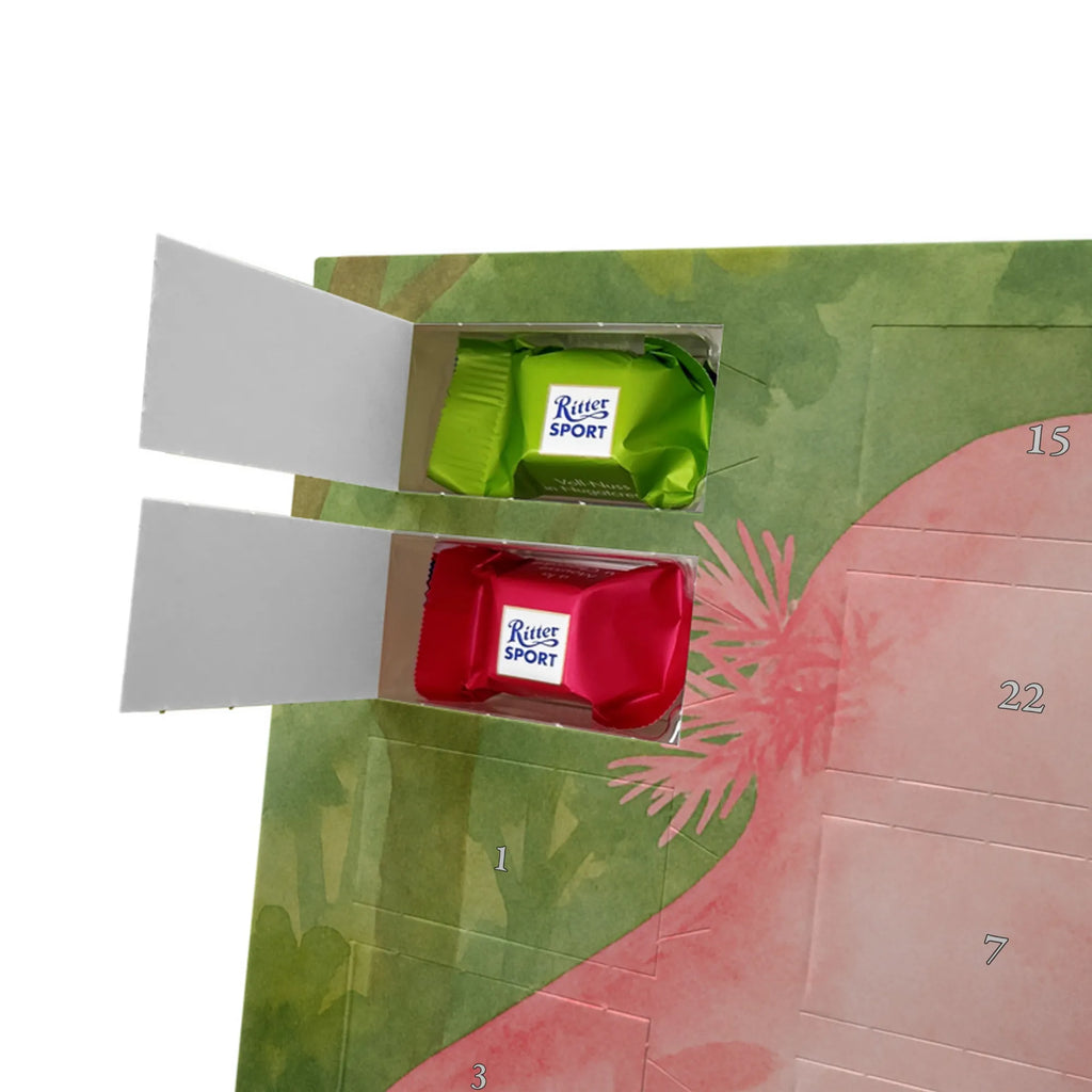 Chocolate advent calendar axolotl Dance Design Axelotl, marine animals, Mexican walking fish, salamander, girlfriend, stars, amphibians, tailfish, roof damage, best friend