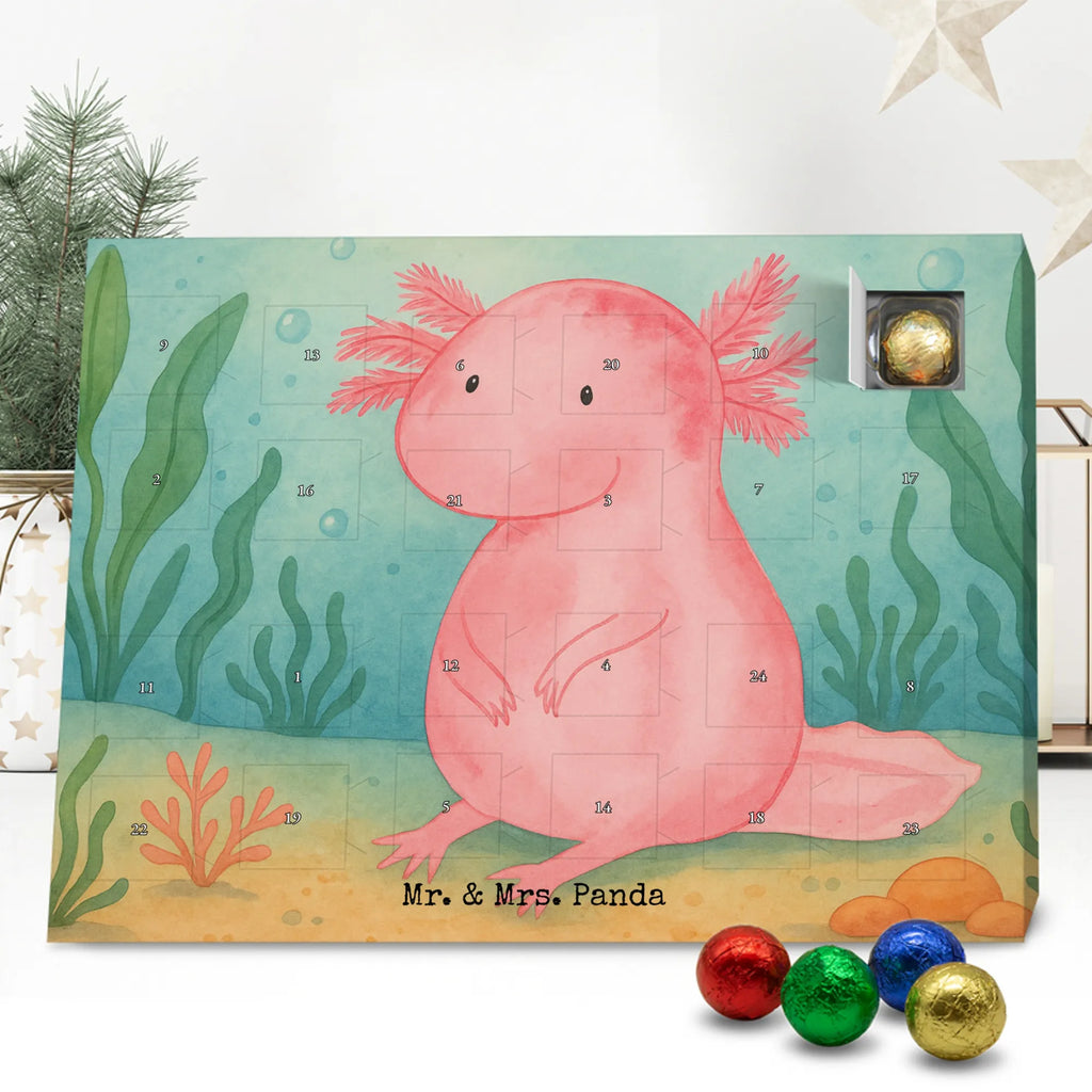 Chocolate advent calendar axolotl zero Design Axelotl, marine animals, Mexican walking fish, salamander, wisdom, worldly wisdom, contented, cheerful, lifestyle, girlfriend