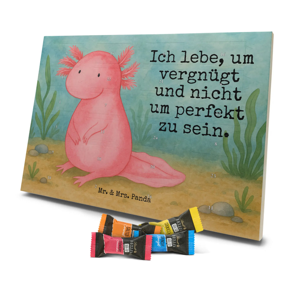 Chocolate advent calendar axolotl zero Design Axelotl, marine animals, Mexican walking fish, salamander, wisdom, worldly wisdom, contented, cheerful, lifestyle, girlfriend