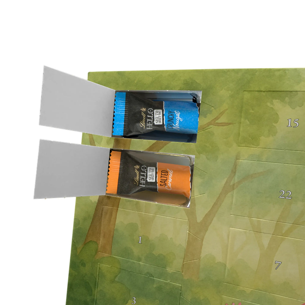 Chocolate advent calendar axolotl Dance Design Axelotl, marine animals, Mexican walking fish, salamander, girlfriend, stars, amphibians, tailfish, roof damage, best friend