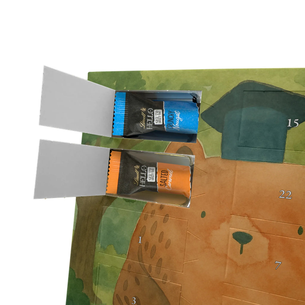 Chocolate advent calendar bear Test Design teddy bear, cuddly toy, diploma, degree, certificate, examinations, examination passed