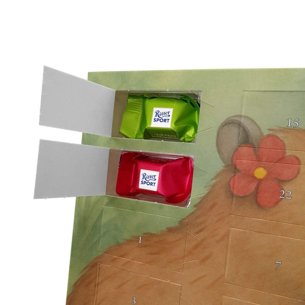 Schokoladen Adventskalender Capybara Blume Design Weihnachtskalender, adventskalender mit schokolade, pralinen adventskalender, adventskalender süßigkeiten, schokokalender, schoko kalender, advent kalender, weihnachtskalender schoko, adventskalender mit süßigkeiten, Adventskalender, Adventskalender Schokolade, süßigkeiten adventskalender, Schoko Adventskalender, schoko weihnachtskalender, adventskalender pralinen, Schokoladen Adventskalender, schokoladenkalender, süßigkeiten kalender, kalender schokolade, schokolade adventskalender, adventskalender mit pralinen, Weihnachtskalender Schokolade, schokoladen kalender, Tiere, Tiermotive, Lustige Sprüche, Gute Laune, Capybara