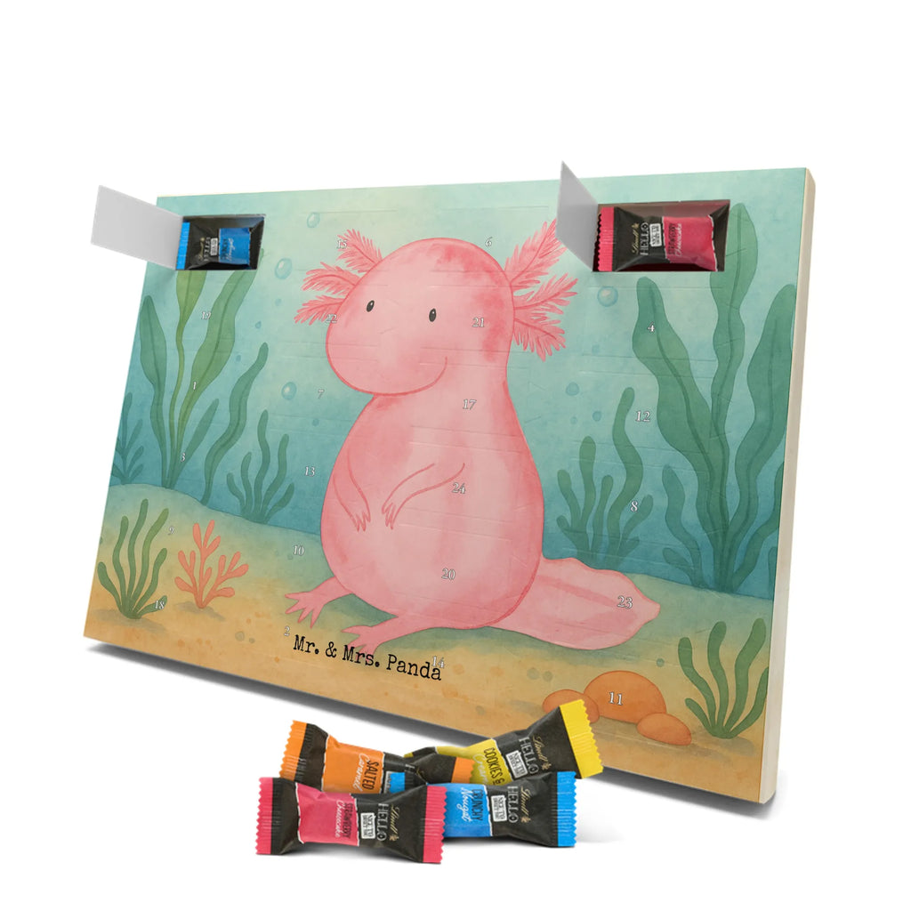 Chocolate advent calendar axolotl zero Design Axelotl, marine animals, Mexican walking fish, salamander, wisdom, worldly wisdom, contented, cheerful, lifestyle, girlfriend