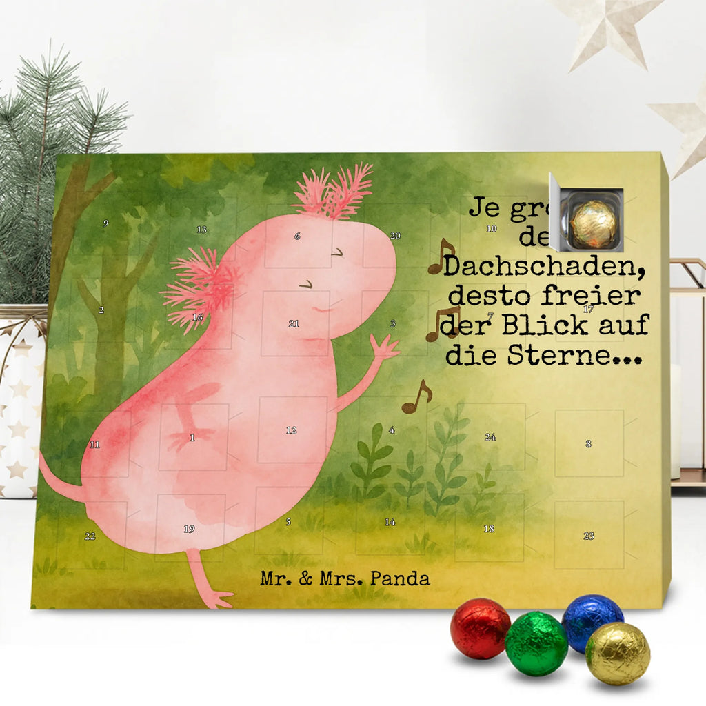 Chocolate advent calendar axolotl Dance Design Axelotl, marine animals, Mexican walking fish, salamander, girlfriend, stars, amphibians, tailfish, roof damage, best friend