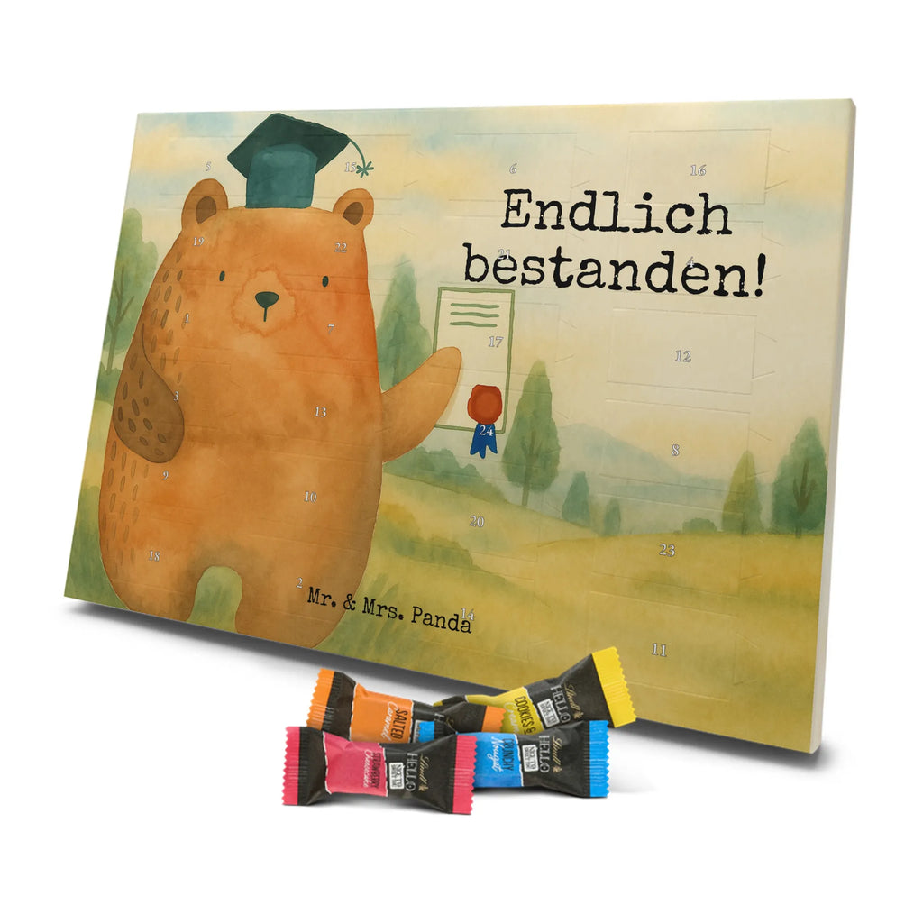 Chocolate advent calendar bear Test Design teddy bear, cuddly toy, diploma, degree, certificate, examinations, examination passed