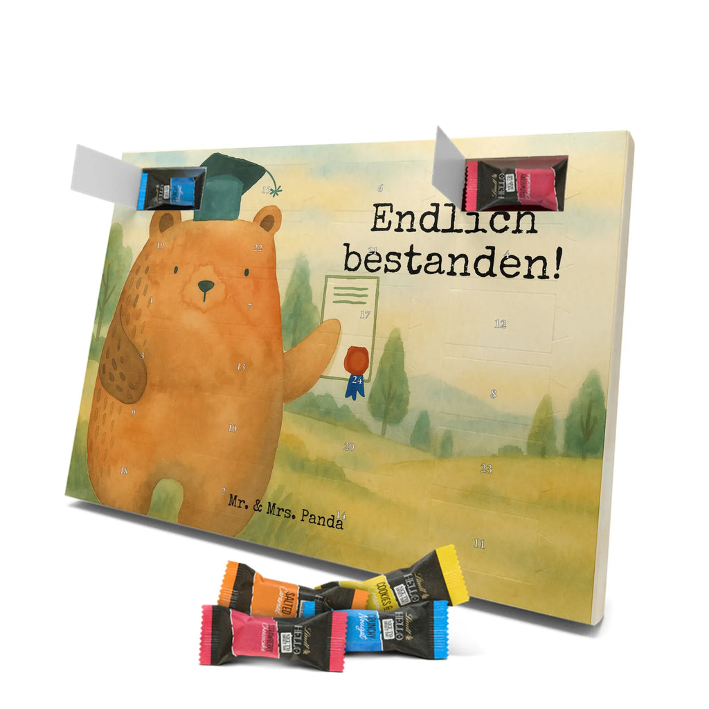 Chocolate advent calendar bear Test Design teddy bear, cuddly toy, diploma, degree, certificate, examinations, examination passed