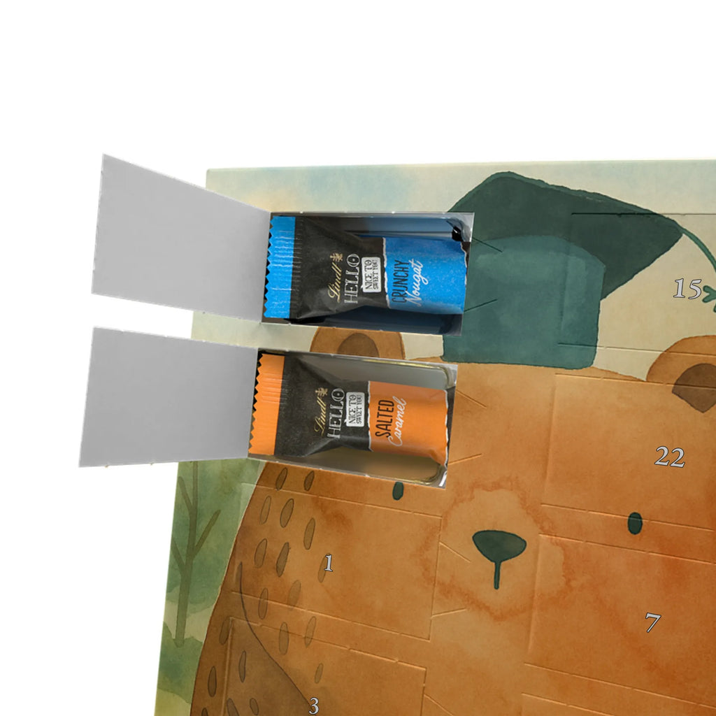 Chocolate advent calendar bear Test Design teddy bear, cuddly toy, diploma, degree, certificate, examinations, examination passed