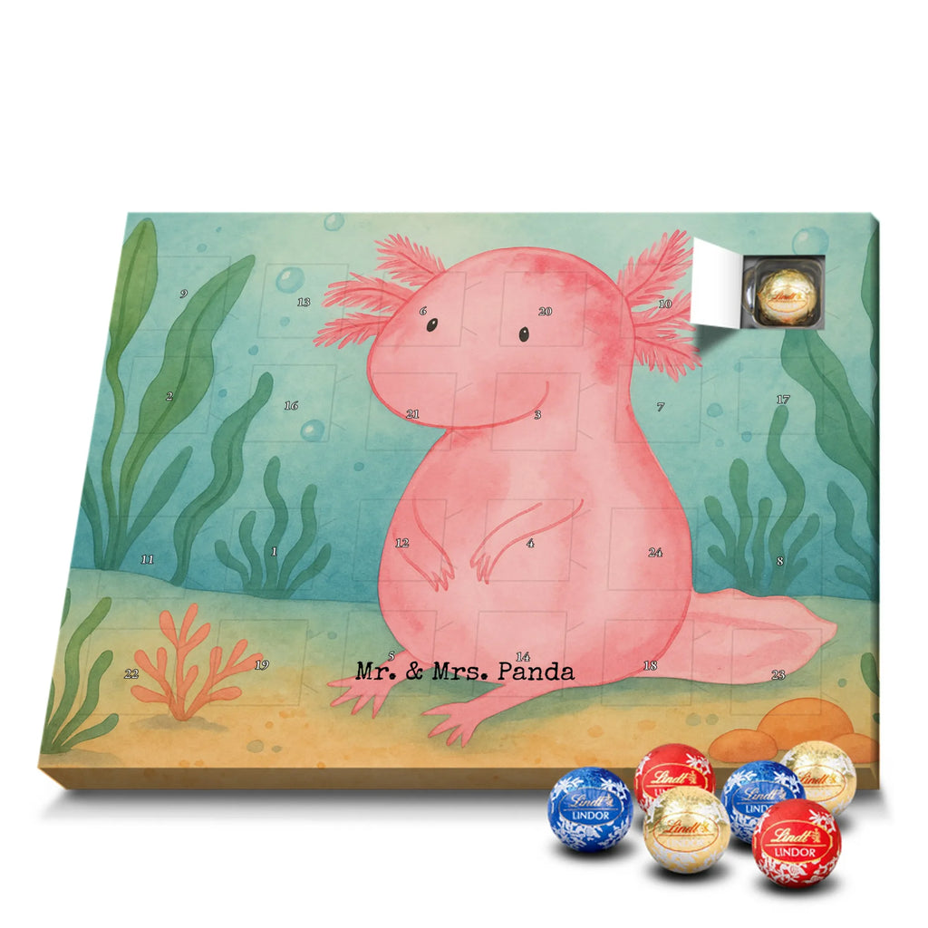 Chocolate advent calendar axolotl zero Design Axelotl, marine animals, Mexican walking fish, salamander, wisdom, worldly wisdom, contented, cheerful, lifestyle, girlfriend