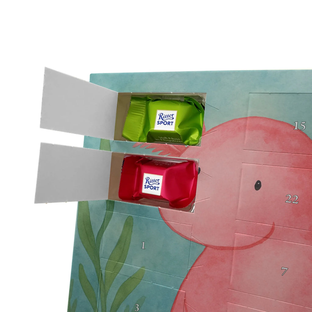 Chocolate advent calendar axolotl zero Design Axelotl, marine animals, Mexican walking fish, salamander, wisdom, worldly wisdom, contented, cheerful, lifestyle, girlfriend