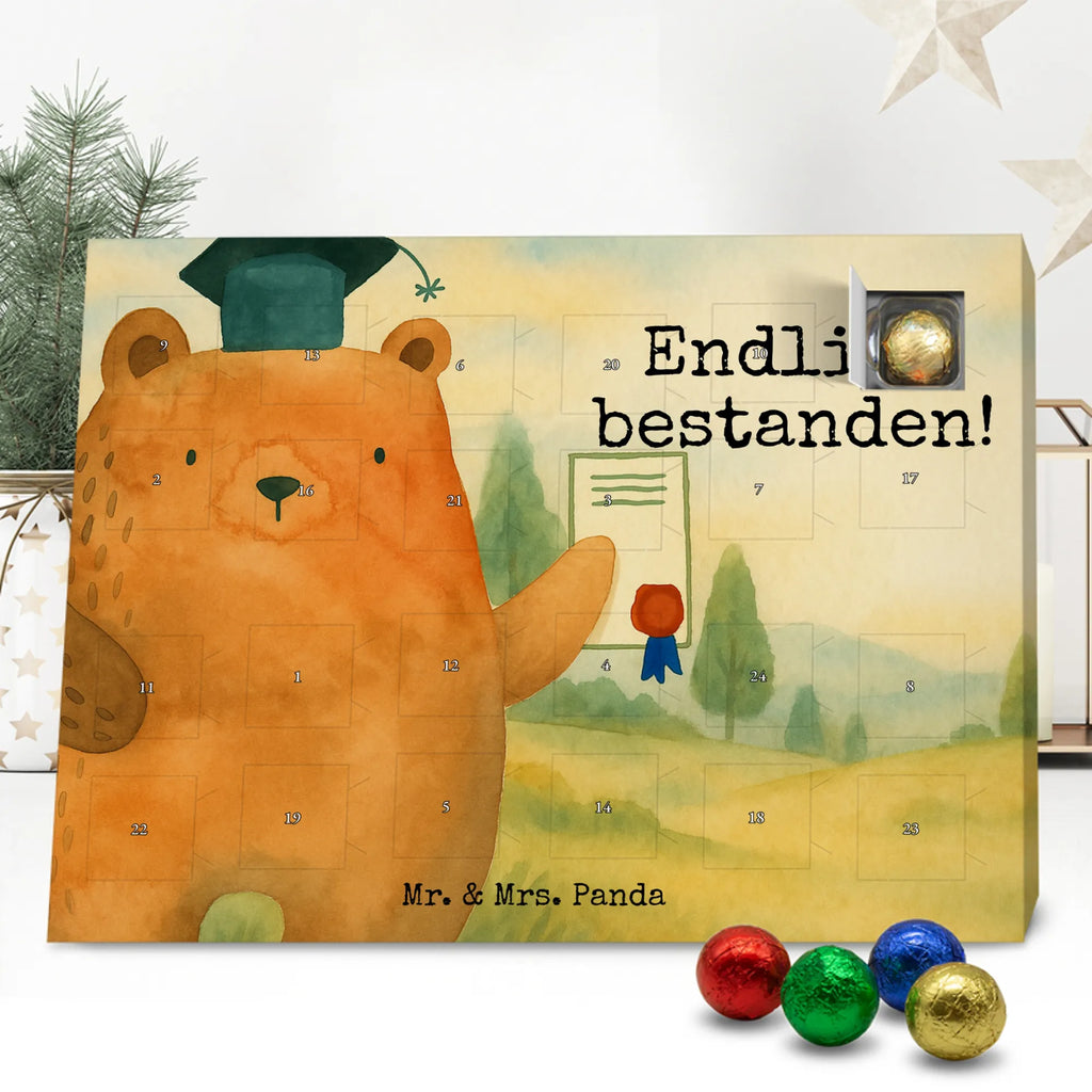 Chocolate advent calendar bear Test Design teddy bear, cuddly toy, diploma, degree, certificate, examinations, examination passed