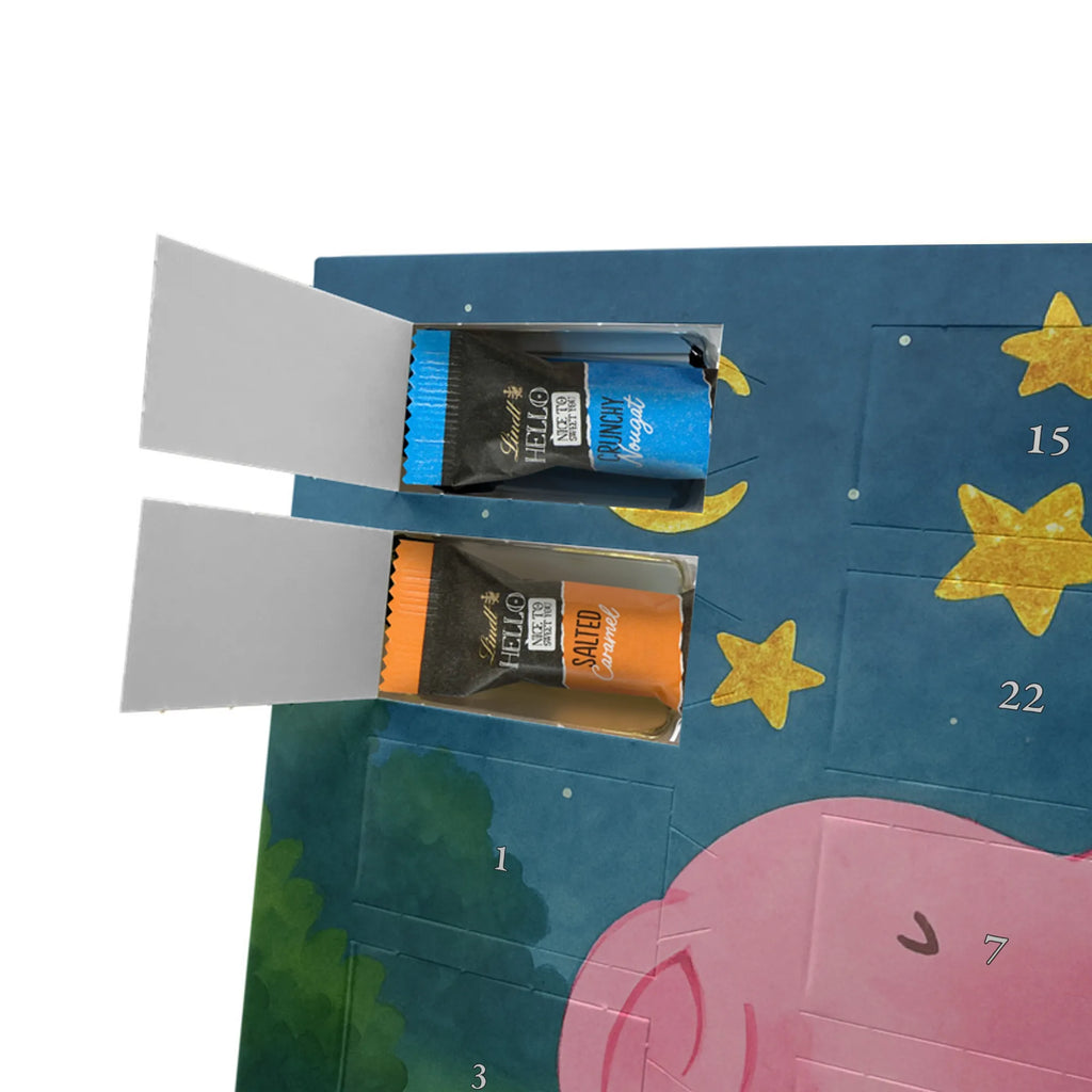 Chocolate advent calendar Pig Luck Design card, gift ideas, gifts, small animals, cute, cute animal motives, hand drawn, funny sayings, good mood, special gifts, animal lover, asterisks, stars, piglet, goals, lucky charm, Lucky bastard. Luck