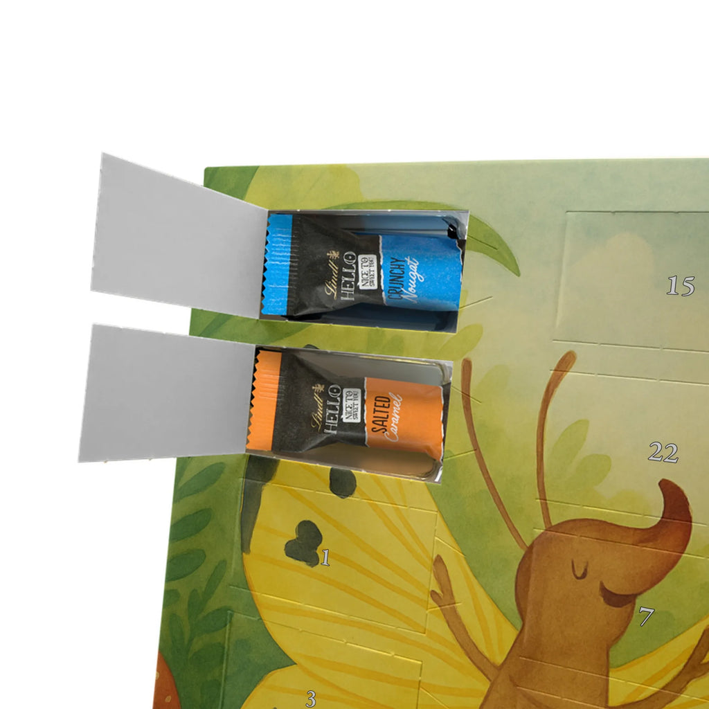 Chocolate advent calendar Caterpillar butterfly Design card, gift ideas, gifts, small animals, cute, cute animal motives, hand drawn, funny sayings, good mood, special gifts, animal lover, development, Caterpillar, butterfly, lemon butterfly, growing up, cocoon, hat, beauty