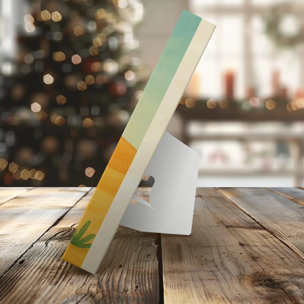 Chocolate advent calendar cactus Sun Design cactus, cactuses, plants, cactus plant, small green cactus, new start, divorce, separation, lovesickness, lovesickness gift, love cactus love, gift idea, adultery, sun, girlfriend