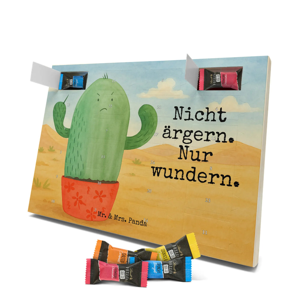 Chocolate advent calendar cactus Fury Design cactus, cactuses, plants, cactus plant, small green cactus, school, annoy, office life, colleague, angry