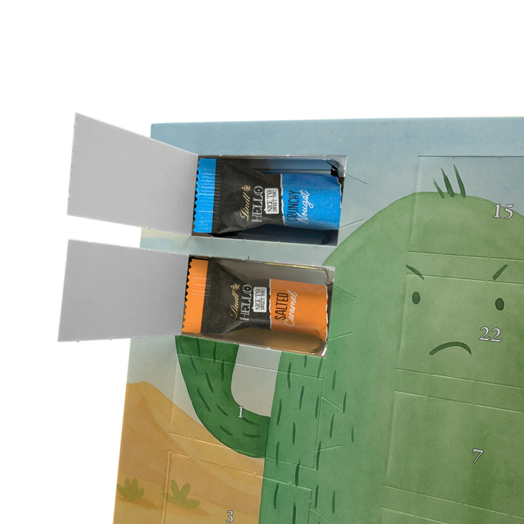 Chocolate advent calendar cactus Fury Design cactus, cactuses, plants, cactus plant, small green cactus, school, annoy, office life, colleague, angry