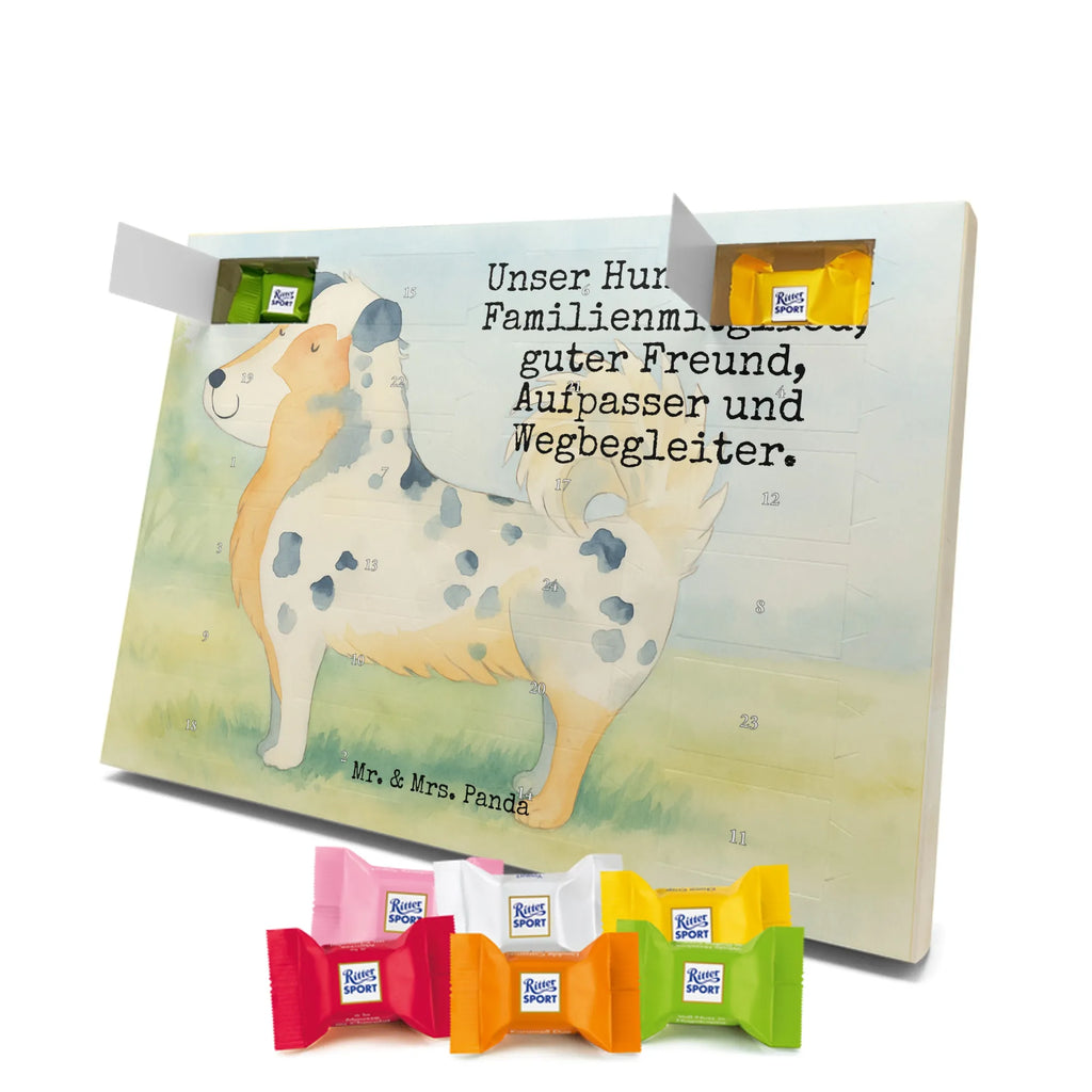 Chocolate advent calendar Dog Australia Shepherd Design hound, dog sayings, gifts for dogs, Christmas gifts for dogs, what do you give a dog lover, funny gifts for dog owners, bag with dog print, dog decorative items, love for dogs, dog breed, love dogs, dog mama, mutt, woof, Family dog, Saying, Sayings, Australia Shepherd, Dog love