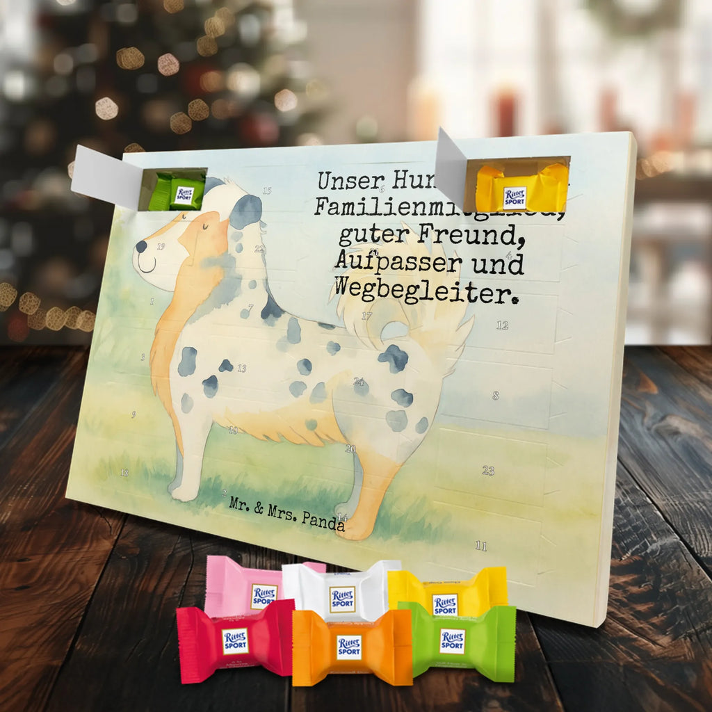Chocolate advent calendar Dog Australia Shepherd Design hound, dog sayings, gifts for dogs, Christmas gifts for dogs, what do you give a dog lover, funny gifts for dog owners, bag with dog print, dog decorative items, love for dogs, dog breed, love dogs, dog mama, mutt, woof, Family dog, Saying, Sayings, Australia Shepherd, Dog love